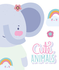 elephant rainbows cartoon cute animal characters flowers nature design