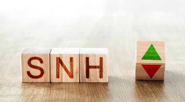 wooden blocks with the inscription snh and a block symbolizing the rise and fall of financial markets