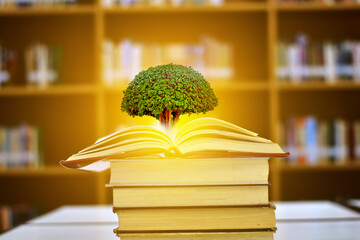 Open book with magical green tree and rays of light on wooden table with blurred bookshelf in the library, education background, back to school concept.