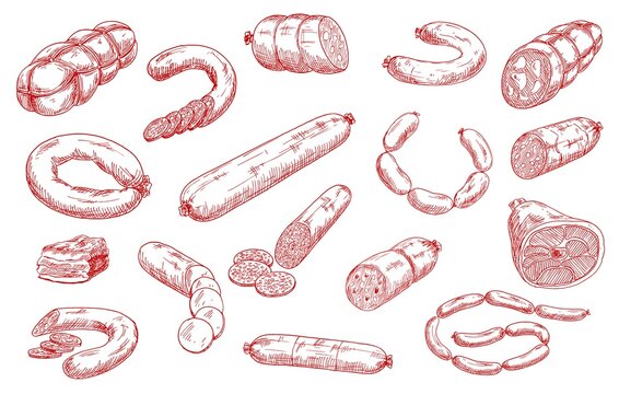 Sausages and meat products vector sketch set. Sliced salami, chorizo and pepperoni, bacon piece, hamon and mortadella, bratwurst or frankfurter sausages. Meat market, butchery, butcher shop products
