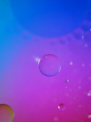 Closeup pink purple oil bubbles with colorful background and blurred droplets ,macro image ,sweet pastel color ,rainbow and colorful balloons background, abstract background