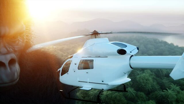 Giant gorilla and helicopter in jungle. Prehistoric animal and monster. Realistic fur and animation. 4K render.