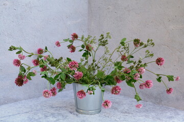 A Bouquet of pink clovers in a flowerpot on a White background