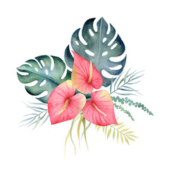 Watercolor hand painted floral composition of tropical monstera and palm leaves, pink flowers anthurium.Clipart illustration of exotic jungle plants isolated on white background.
