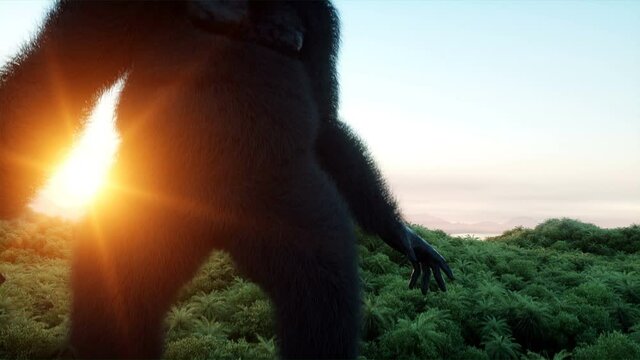 Giant gorilla and helicopter in jungle. Prehistoric animal and monster. Realistic fur and animation. 4K render.