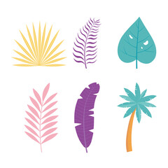 tropical palm tree leaf leaves botanical foliage icons