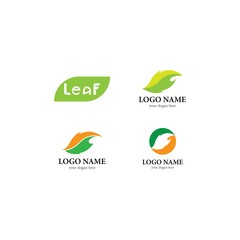 leaf vector template icon design
