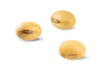 Close up Soybean seeds isolated on white background.