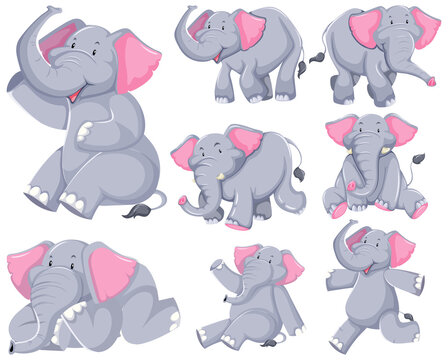 Set of elephant cartoon character