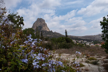 DÍA DE VERANO EN BERNAL MÉXICO