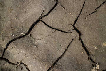 Obraz premium Large cracks in the ground. Abstract lines. Beautiful background. Nature. Photo in good quality.
