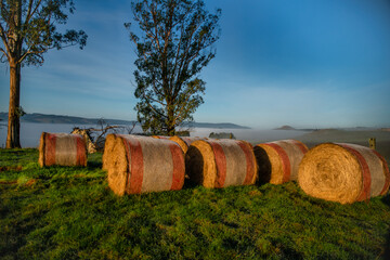Obraz premium Hay Bales on the Rural Hills of Berwick (south west of Dunedin) at sunrise on a freezing frosty day with low mist and fog rolling through the valleys