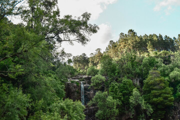 Fototapeta premium TAHITI WATERFALL