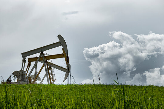 oil pump jacks in field