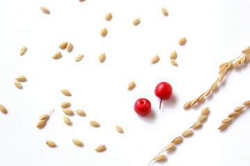 red fruits and Ears of rice isolated on white background