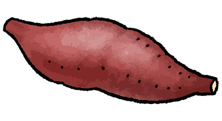 サツマイモの手描きベクターイラスト