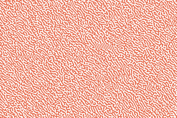 Seamless Turing Pattern. Abstract Illustration.
This collection is modern and minimal with a natural organic feel to it; it's perfect for any kind of digital or print project.