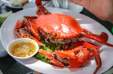 Steamed crab in a dish with 
seafood sauce. - Pattaya, Thailand.