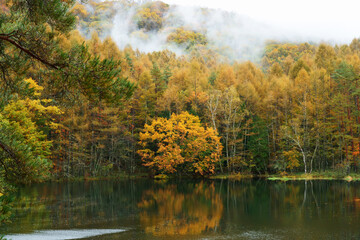 秋のカラフルに紅葉した御射鹿池の風景