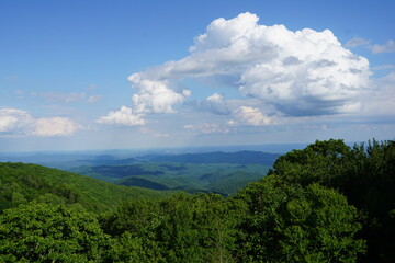 Flowers, Animals, Landscapes, Nature, Unique.Roan Mountain State Park, rhododendron, water lily, waterfall, blue ridge parkway