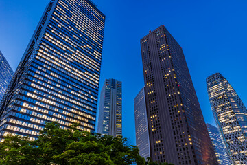 Fototapeta premium 東京都市夜景