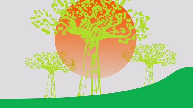 footage  of baobab trees on 
sand dunes and the atmosphere at sunset.