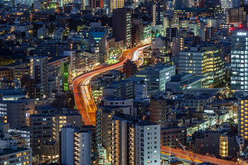 Obraz premium 東京都市夜景