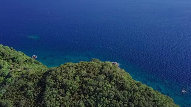 Blue ocean reveal from behind mountain with trees with a bird flying
