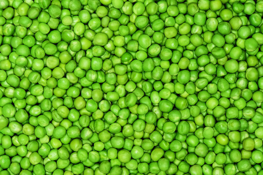 Green peas top view. Background peas. Green background. Background texture