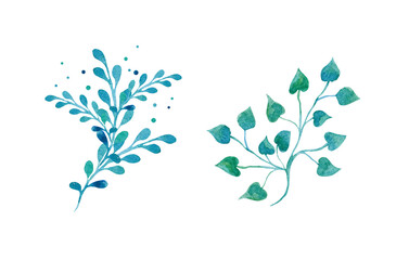 Watercolor set of vegetable elements, blue-green twigs with leaves on a white background. Illustration for design, cards, business cards, wedding invitations.