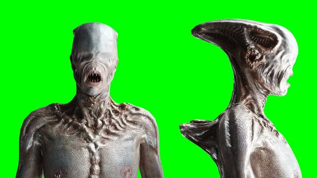 Scary, horror monster. Fear concept. Green screen isolate. Realistic 4K animation.