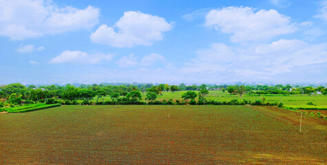 Agriculture Landscape