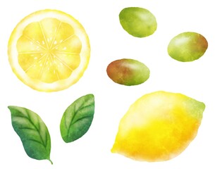 水彩タッチなレモンとオリーブのおしゃれなイラスト