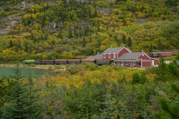 Train at Train Station Surrounded by Trees and Mountains in Alaska 