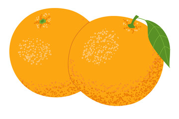 Two oranges fruit isolated on a white background. Flat design. Vector illustration.