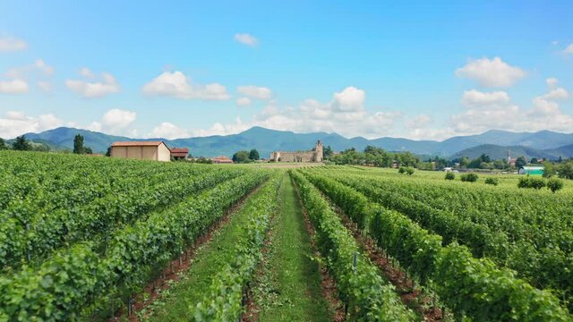 Flying Low over Italian Vineyards Fields in Franciacorta, Brescia Province, Italy. Blue sky. Fluffy Clouds. View of Ancient Italian Castle.