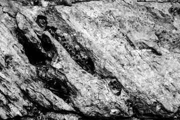Stones texture and background. Rock texture