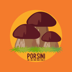 edible porsini mushrooms banner. vector illustration 
