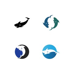 Shark Logo vector Template