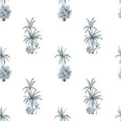 Fototapeta na wymiar Watercolor seamless pattern with tropical palm trees. Coconut palm. Gently black and white background with wildlife jungle elements. Aesthetic vintage wallpaper, wrapping