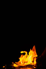 fire in the flames on black background