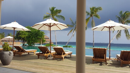 lounge chairs on the beach