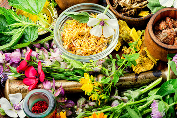 Medicinal herb and flower