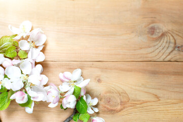 Obraz na płótnie Canvas White Apple flowers and petals on a wooden background. The concept of eco-style, a celebration of spring, tenderness, love, women's health, sauna and Spa treatments, wedding in the summer. Space for t