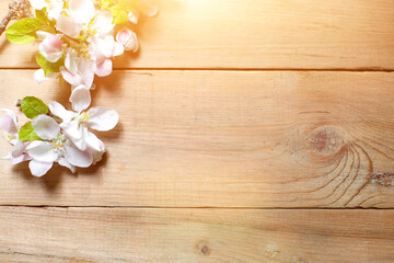 Naklejka na ściany i meble White Apple flowers and petals on a wooden background. The concept of eco-style, a celebration of spring, tenderness, love, women's health, sauna and Spa treatments, wedding in the summer. Space for t