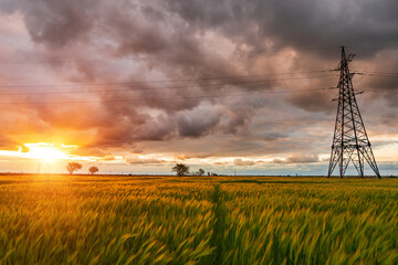High-voltage power lines passing through a green field of wheat, on the background of a cloudy sky