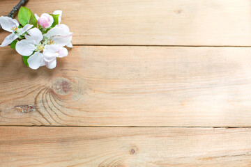 White Apple flowers and petals on a wooden background. The concept of eco-style, a celebration of spring, tenderness, love, women's health, sauna and Spa treatments, wedding in the summer. Space for t