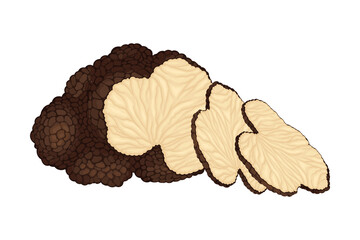 Thin Slices of Truffle Subterranean Fungus Vector Illustration