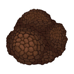 Whole Truffle as Fruiting Body of Subterranean Ascomycete Fungus Vector Illustration