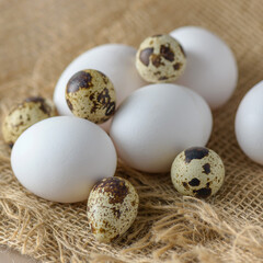 White raw chicken eggs and small quail eggs in burlap close-up. Chicken and quail eggs rustic background.